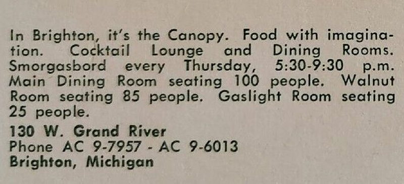 The Canopy - Vintage Postcard (newer photo)